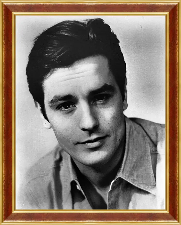 Картина в раме - Ален Делон. Alain Delon