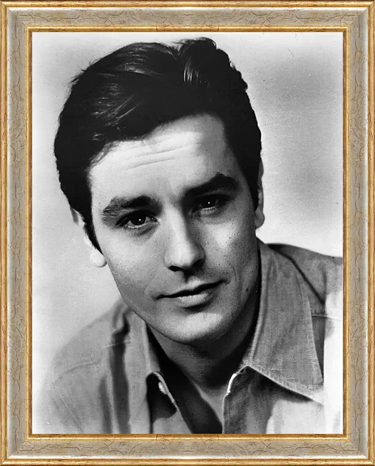 Картина в раме - Ален Делон. Alain Delon