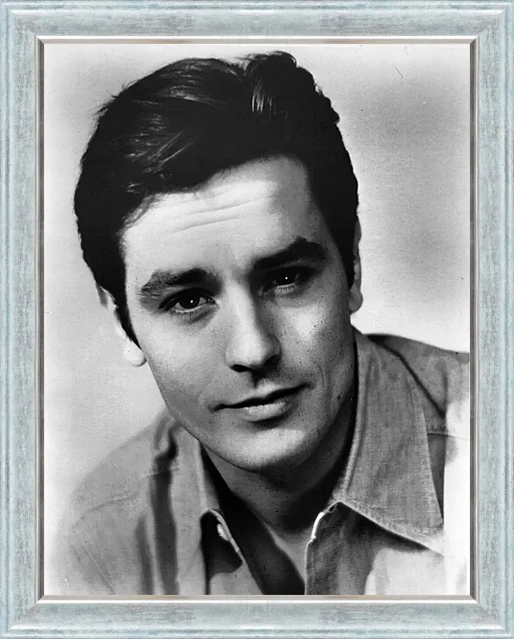 Картина в раме - Ален Делон. Alain Delon