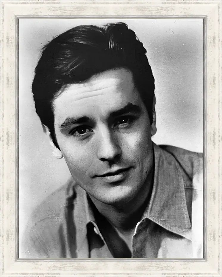 Картина в раме - Ален Делон. Alain Delon