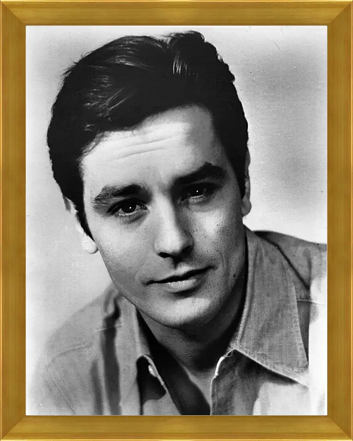 Картина в раме - Ален Делон. Alain Delon