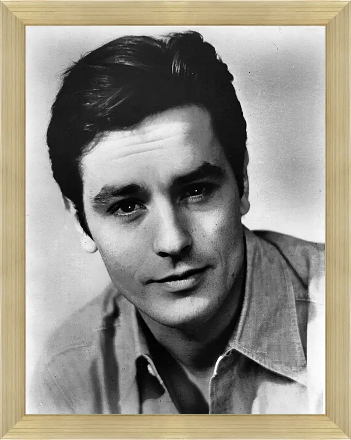 Картина в раме - Ален Делон. Alain Delon