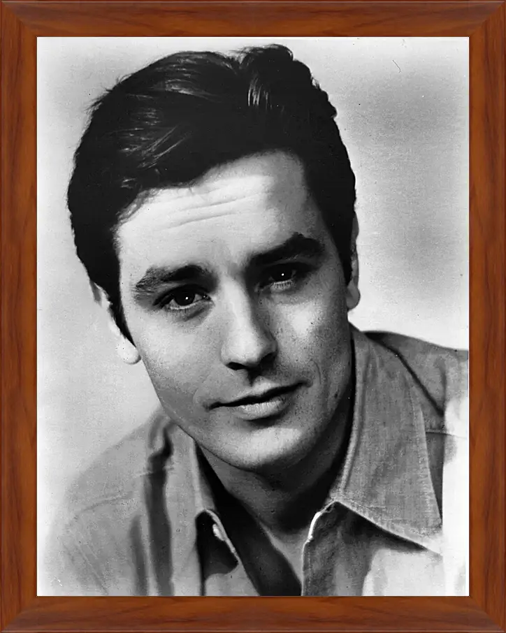 Картина в раме - Ален Делон. Alain Delon