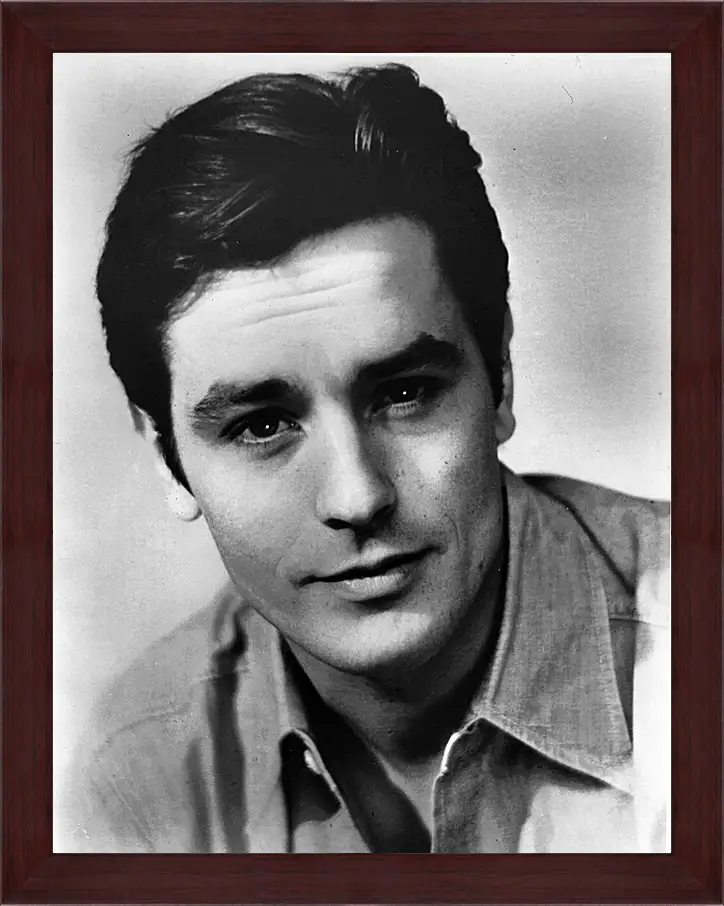 Картина в раме - Ален Делон. Alain Delon