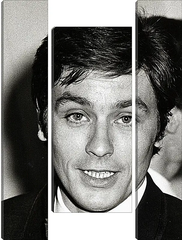 Модульная картина - Ален Делон. Alain Delon