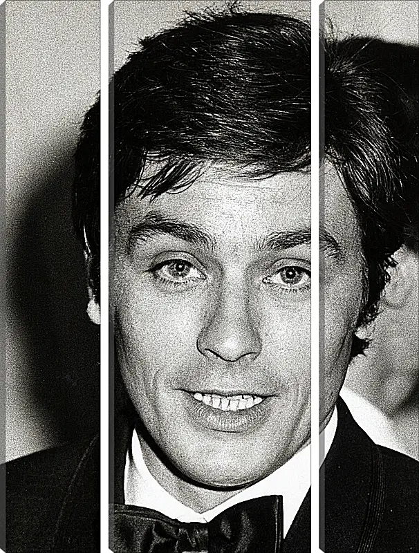 Модульная картина - Ален Делон. Alain Delon