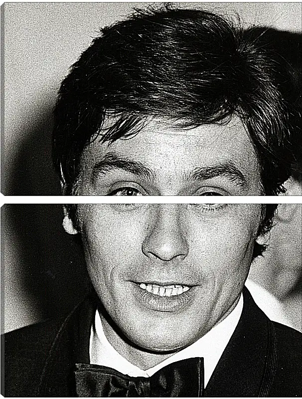 Модульная картина - Ален Делон. Alain Delon