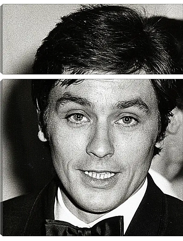 Модульная картина - Ален Делон. Alain Delon