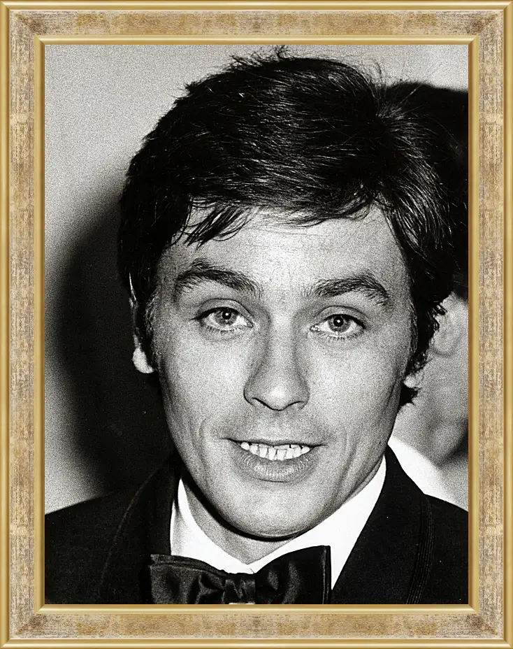 Картина в раме - Ален Делон. Alain Delon