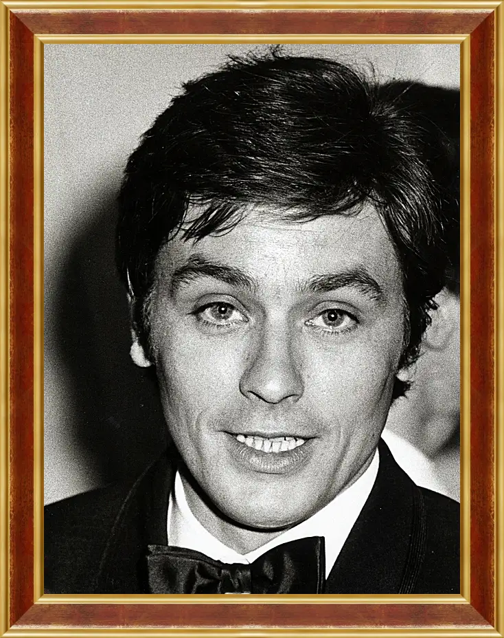 Картина в раме - Ален Делон. Alain Delon