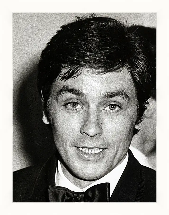 Картина в раме - Ален Делон. Alain Delon