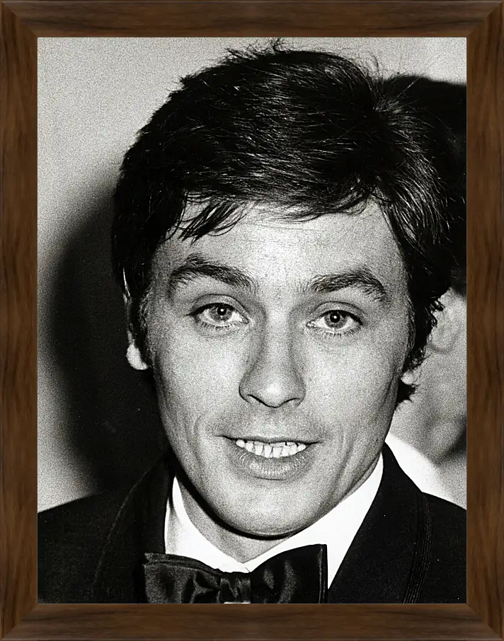 Картина в раме - Ален Делон. Alain Delon