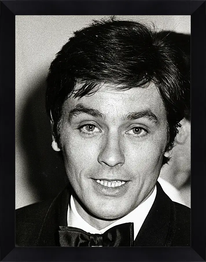 Картина в раме - Ален Делон. Alain Delon