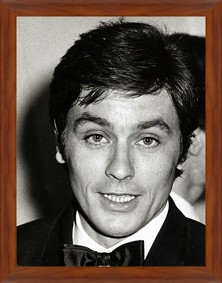 Картина в раме - Ален Делон. Alain Delon