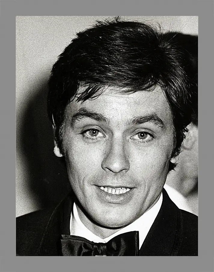 Картина в раме - Ален Делон. Alain Delon