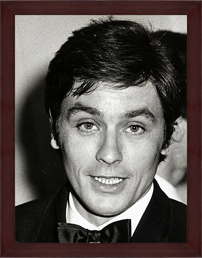 Картина в раме - Ален Делон. Alain Delon