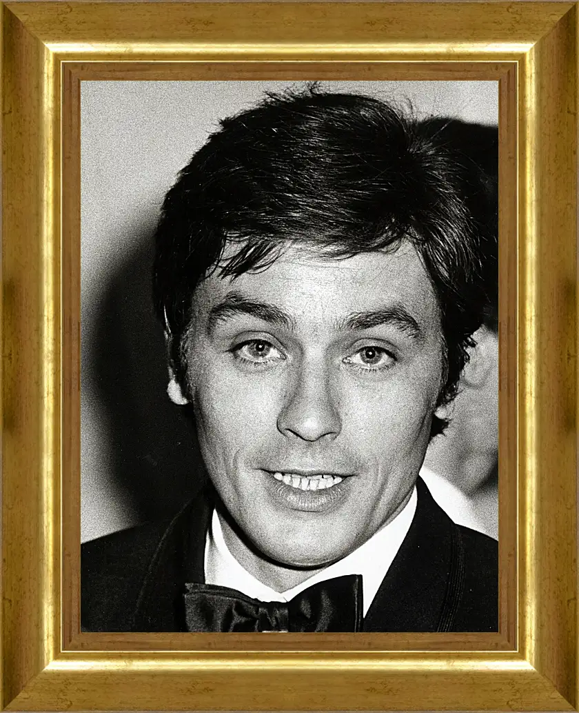 Картина в раме - Ален Делон. Alain Delon