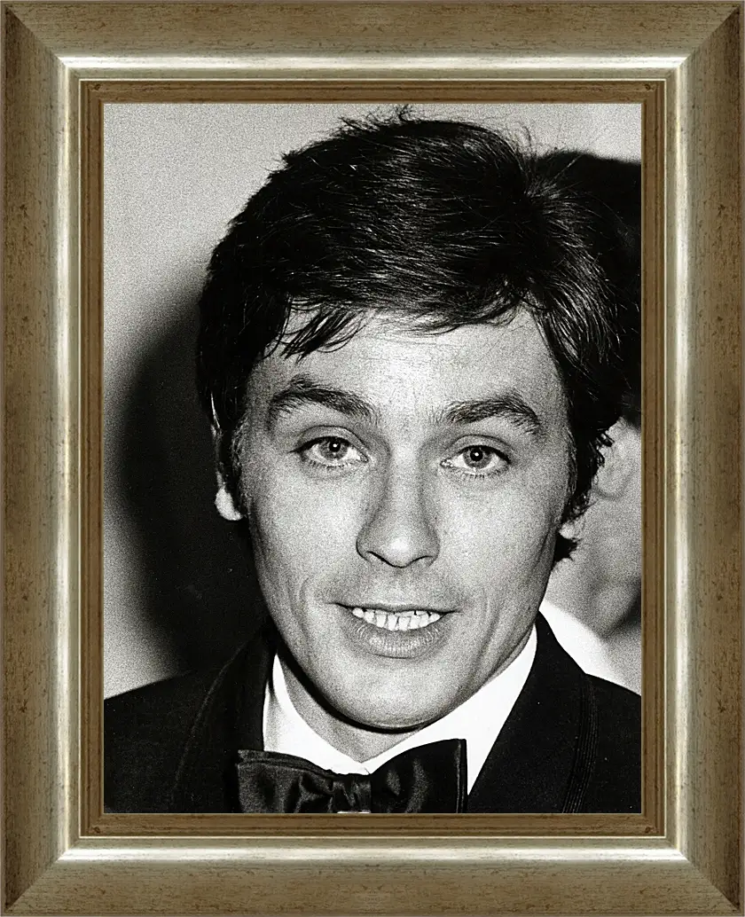 Картина в раме - Ален Делон. Alain Delon