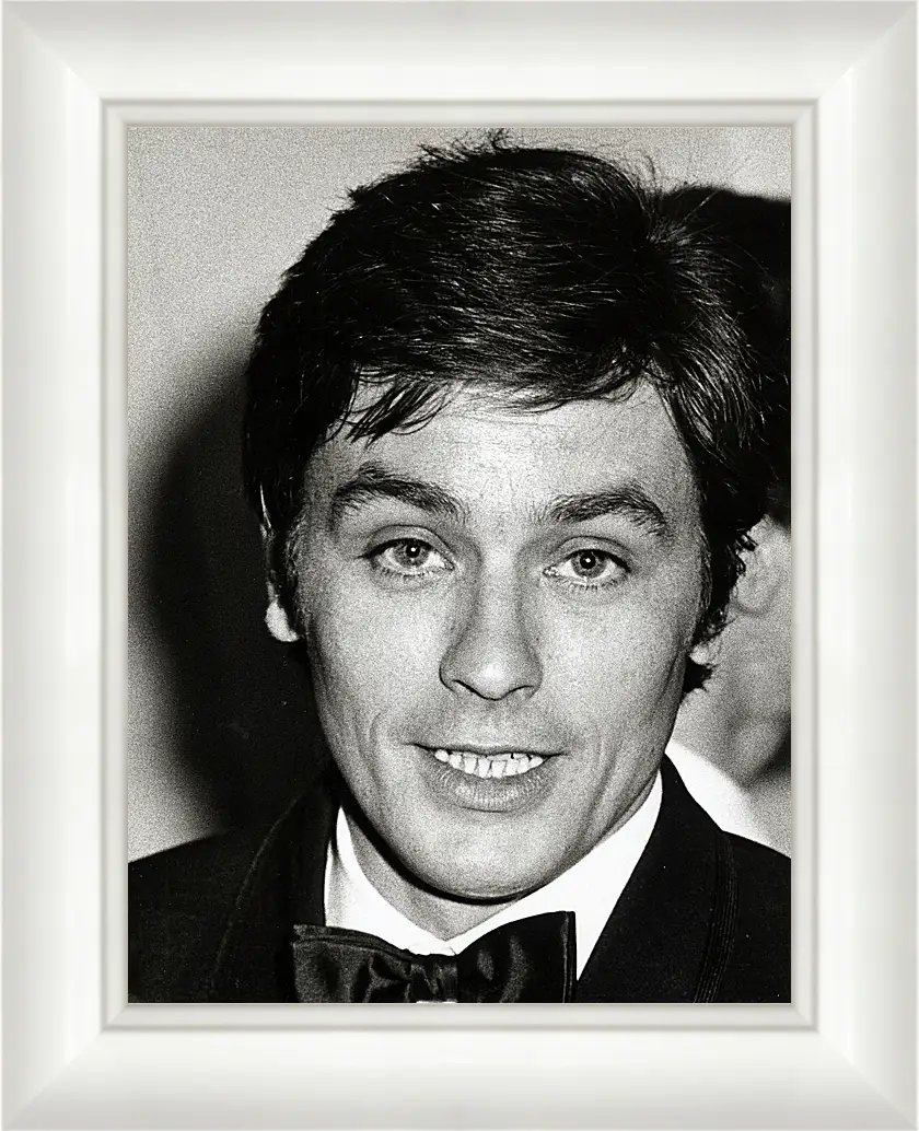 Картина в раме - Ален Делон. Alain Delon