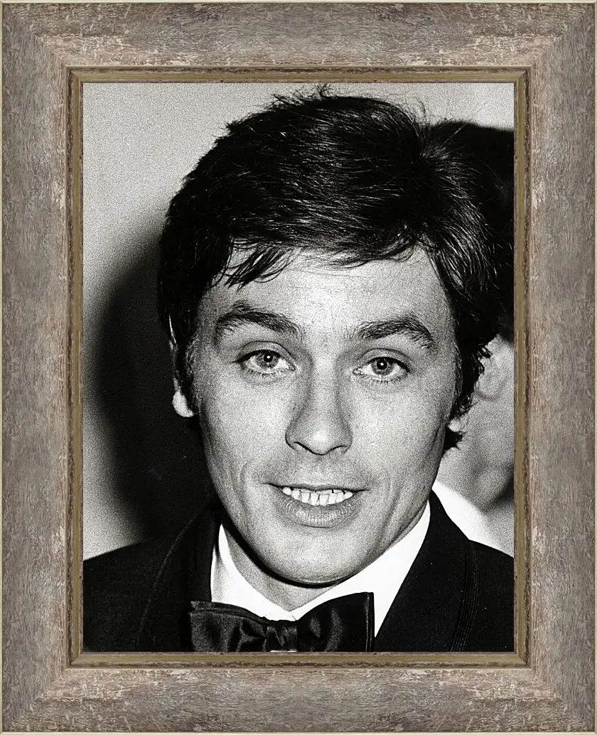 Картина в раме - Ален Делон. Alain Delon