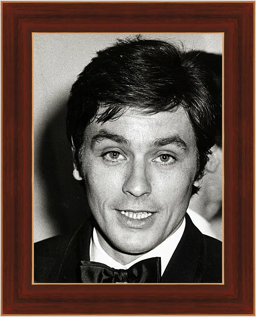 Картина в раме - Ален Делон. Alain Delon