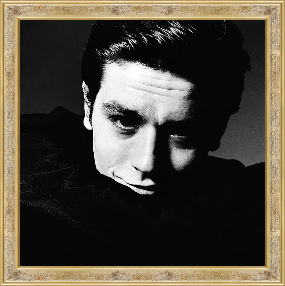 Картина в раме - Ален Делон. Alain Delon