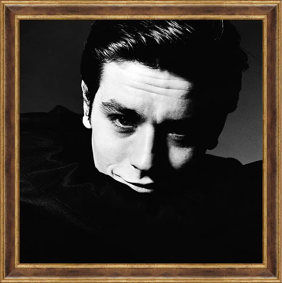 Картина в раме - Ален Делон. Alain Delon