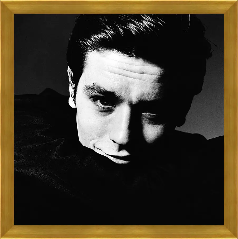 Картина в раме - Ален Делон. Alain Delon