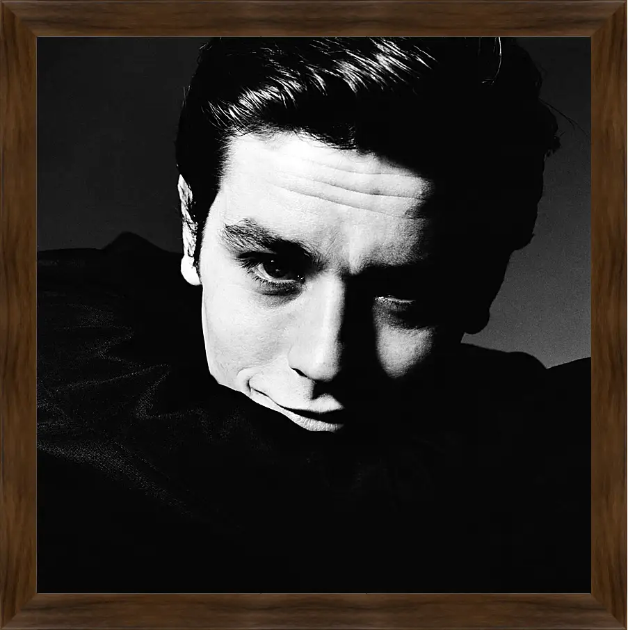 Картина в раме - Ален Делон. Alain Delon