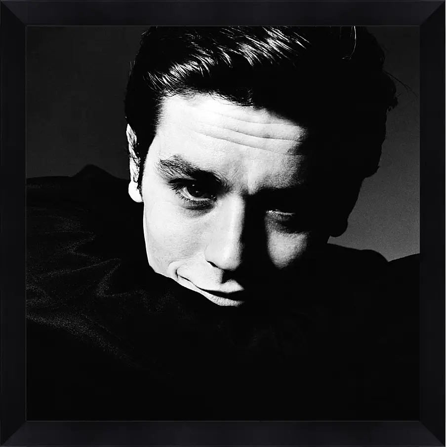 Картина в раме - Ален Делон. Alain Delon