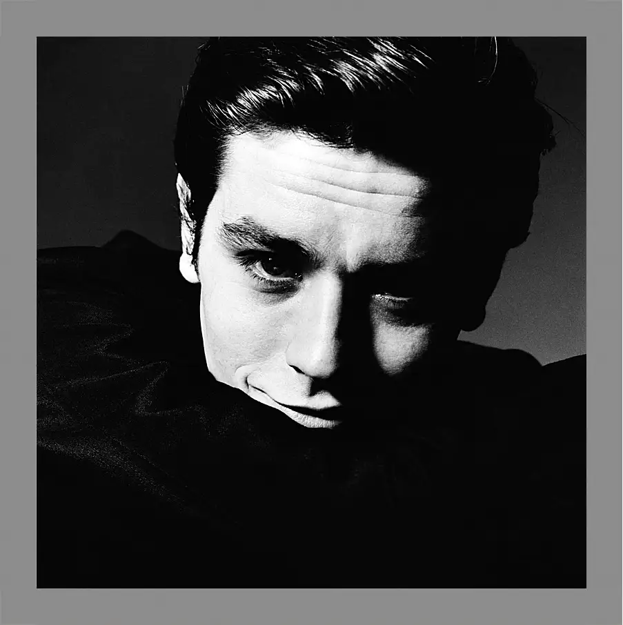 Картина в раме - Ален Делон. Alain Delon