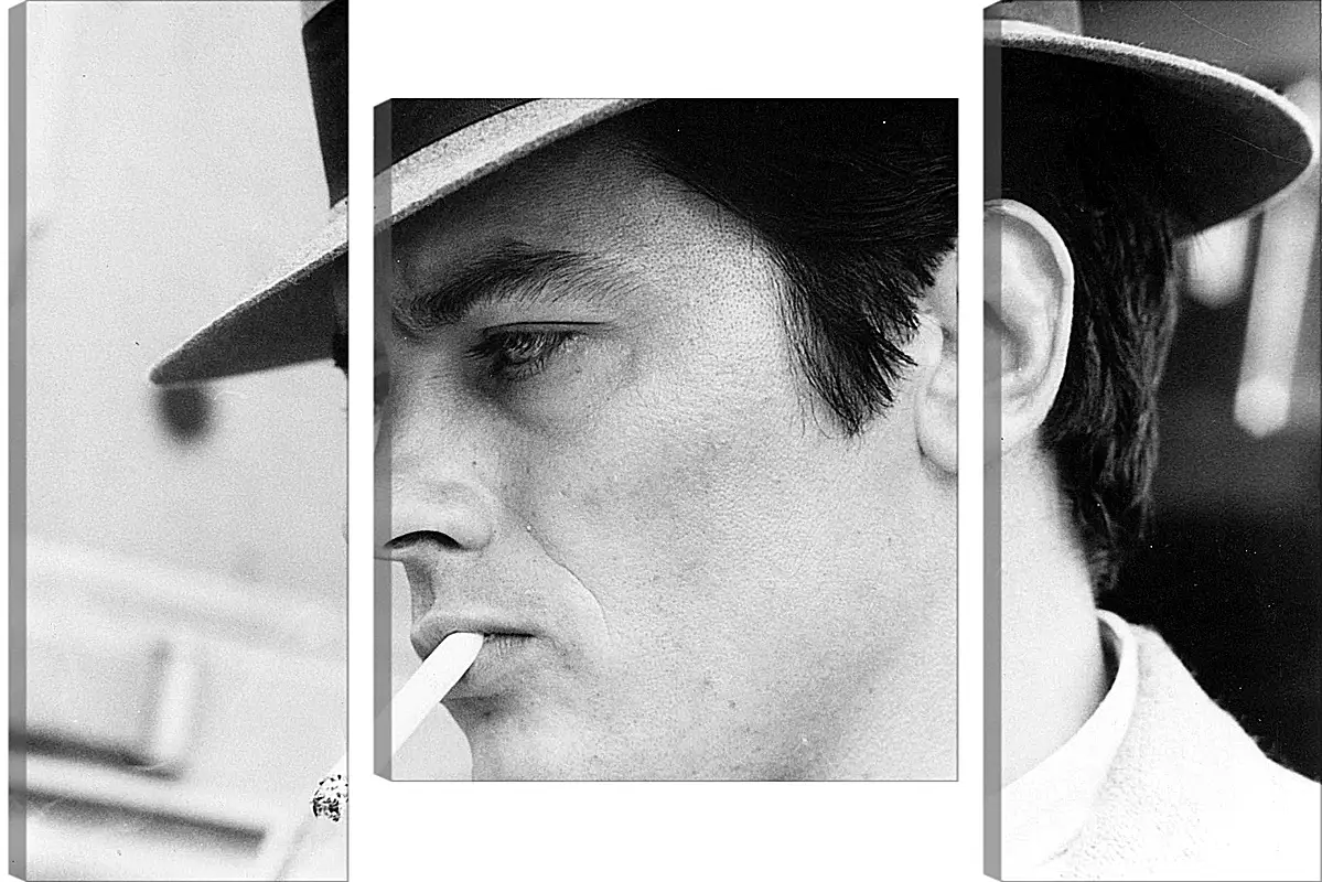 Модульная картина - Ален Делон. Alain Delon