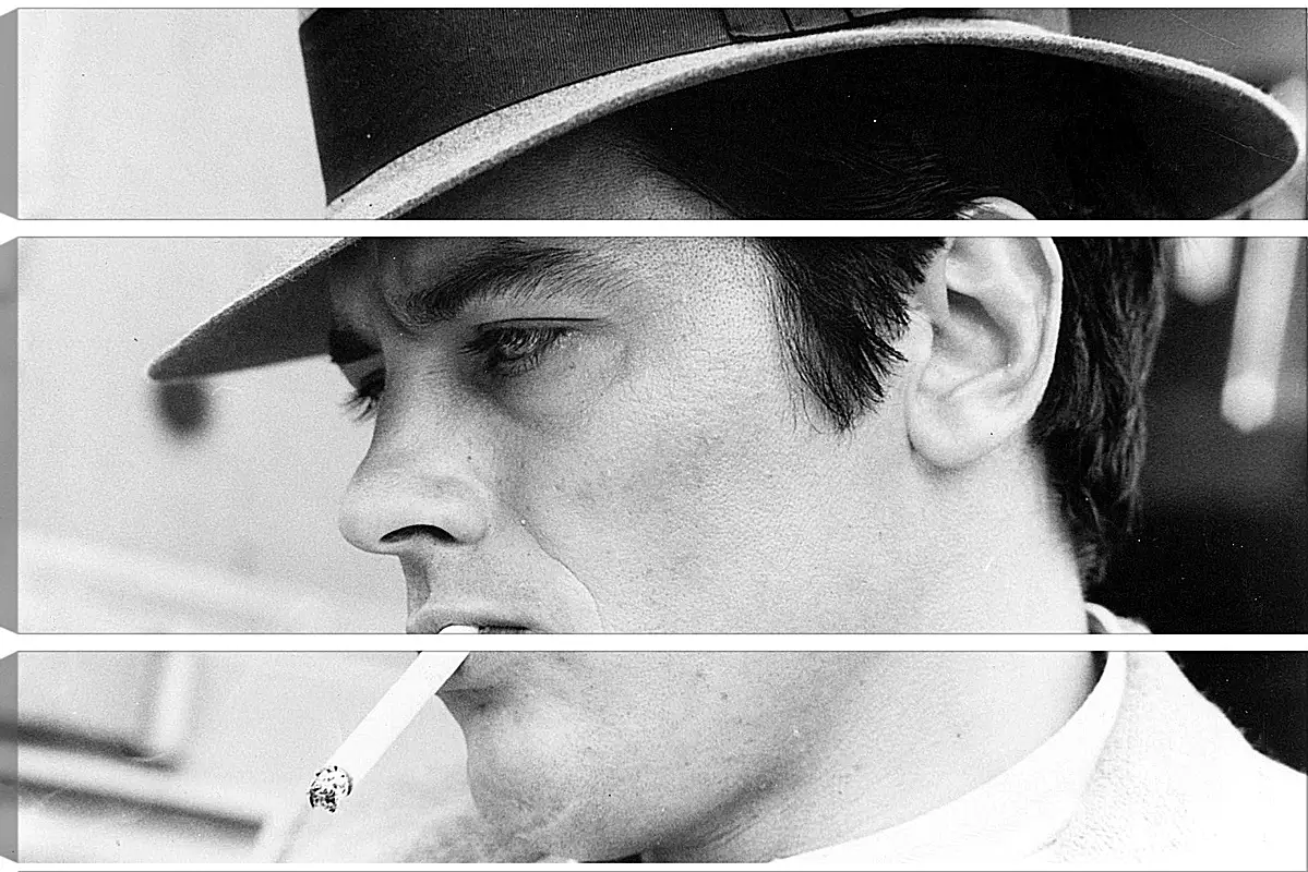 Модульная картина - Ален Делон. Alain Delon