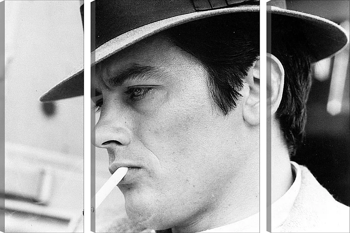 Модульная картина - Ален Делон. Alain Delon