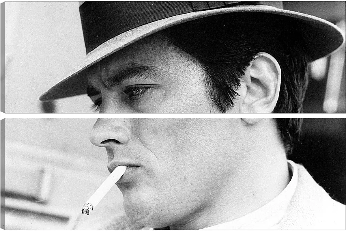 Модульная картина - Ален Делон. Alain Delon