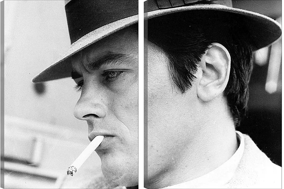 Модульная картина - Ален Делон. Alain Delon