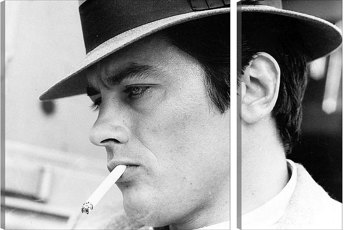 Модульная картина - Ален Делон. Alain Delon