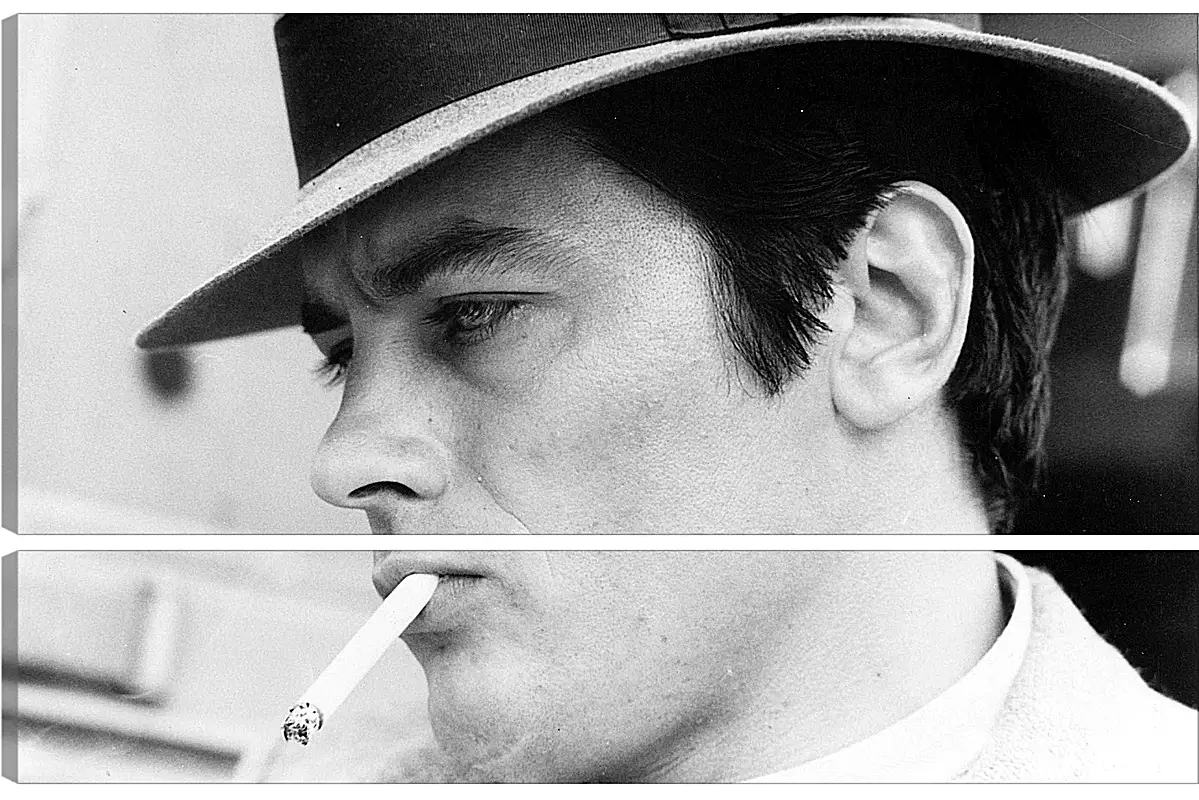 Модульная картина - Ален Делон. Alain Delon