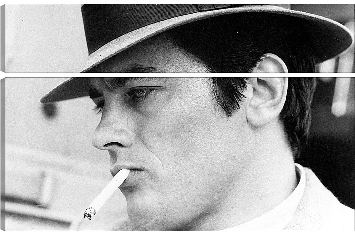 Модульная картина - Ален Делон. Alain Delon