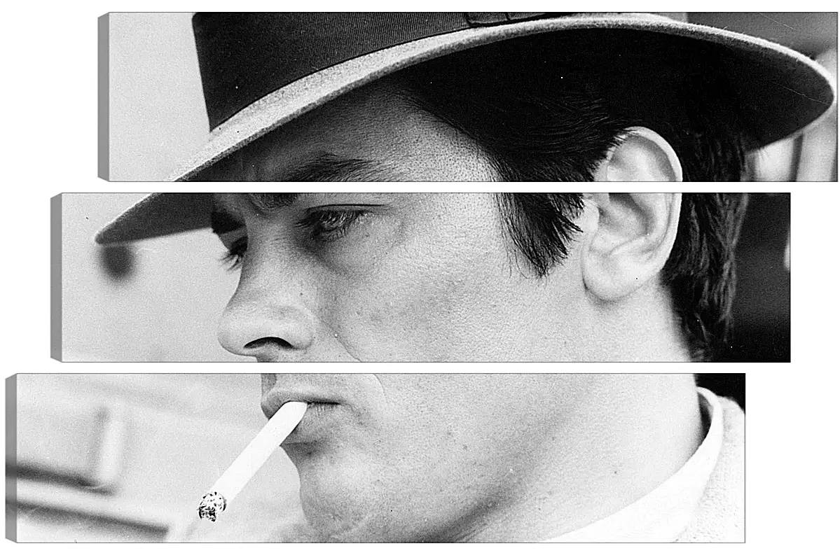 Модульная картина - Ален Делон. Alain Delon