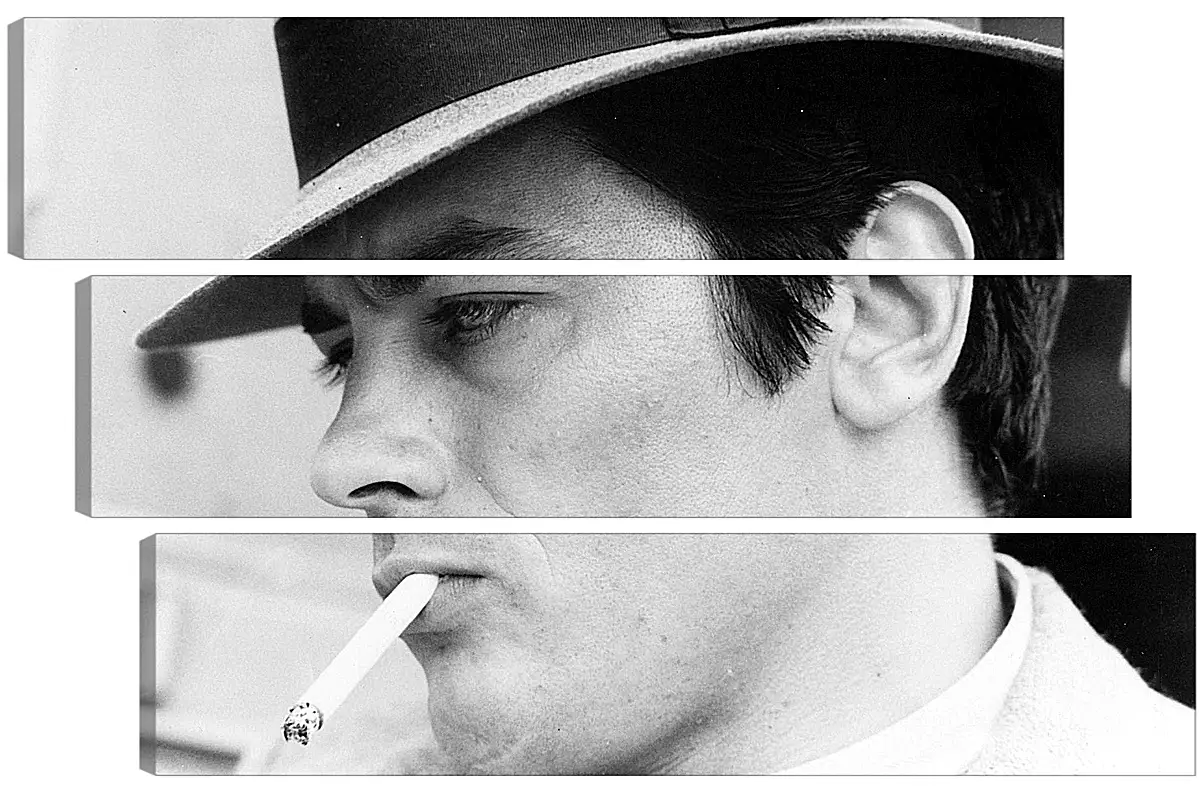 Модульная картина - Ален Делон. Alain Delon