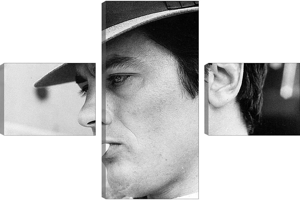 Модульная картина - Ален Делон. Alain Delon