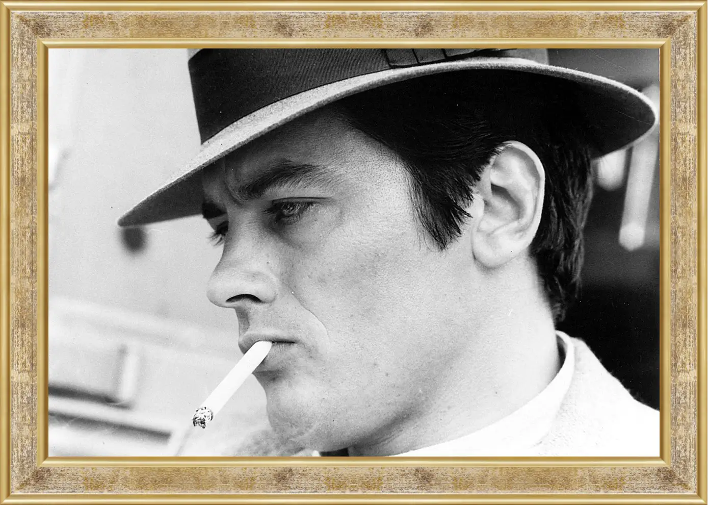 Картина в раме - Ален Делон. Alain Delon