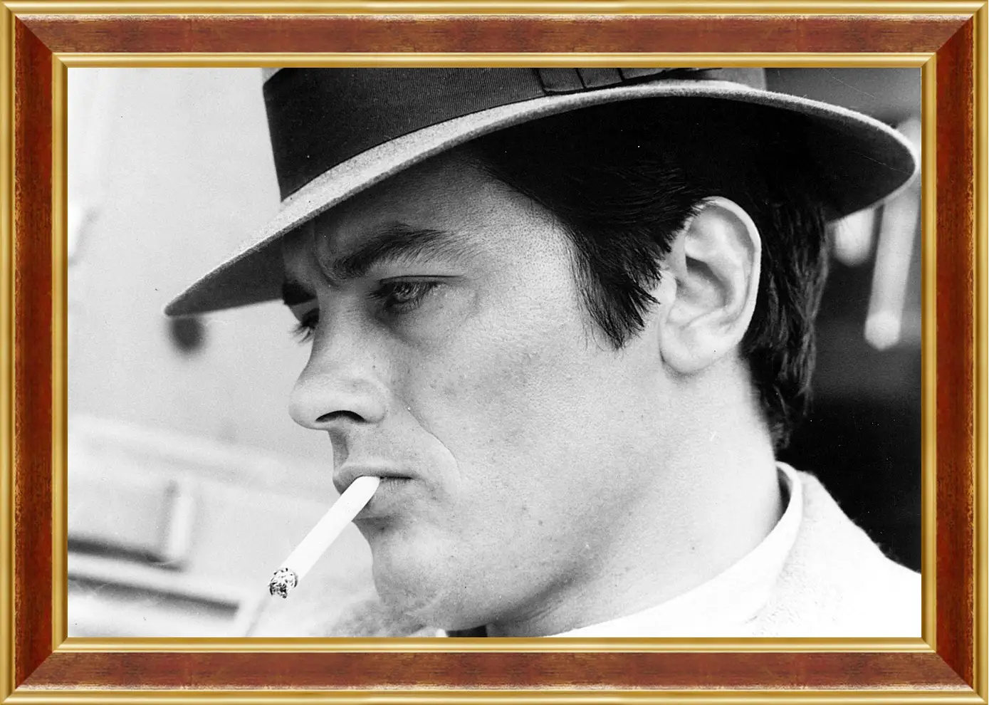 Картина в раме - Ален Делон. Alain Delon