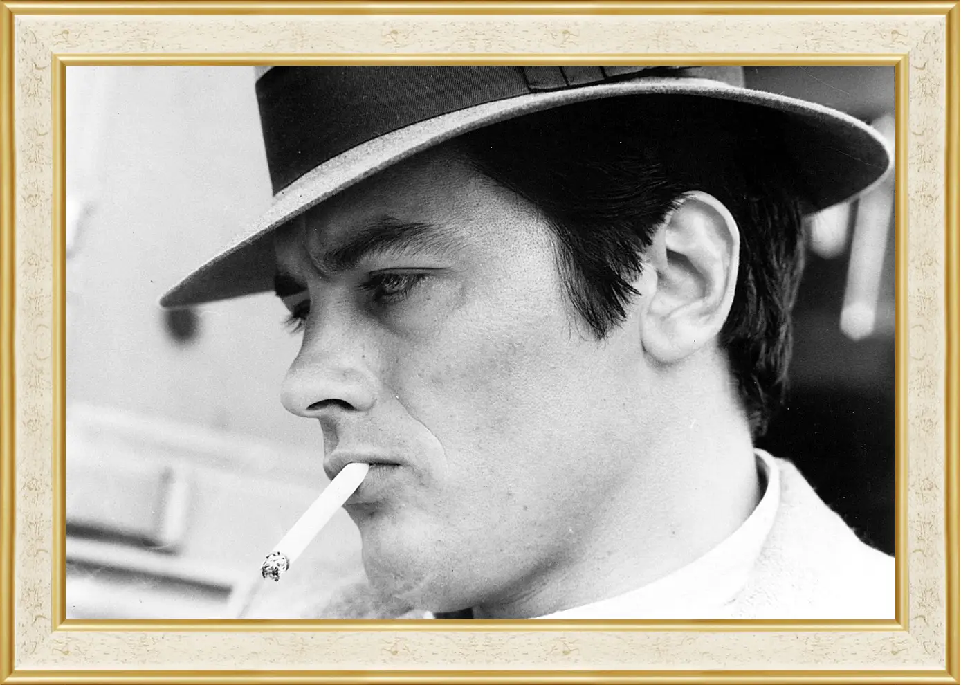 Картина в раме - Ален Делон. Alain Delon