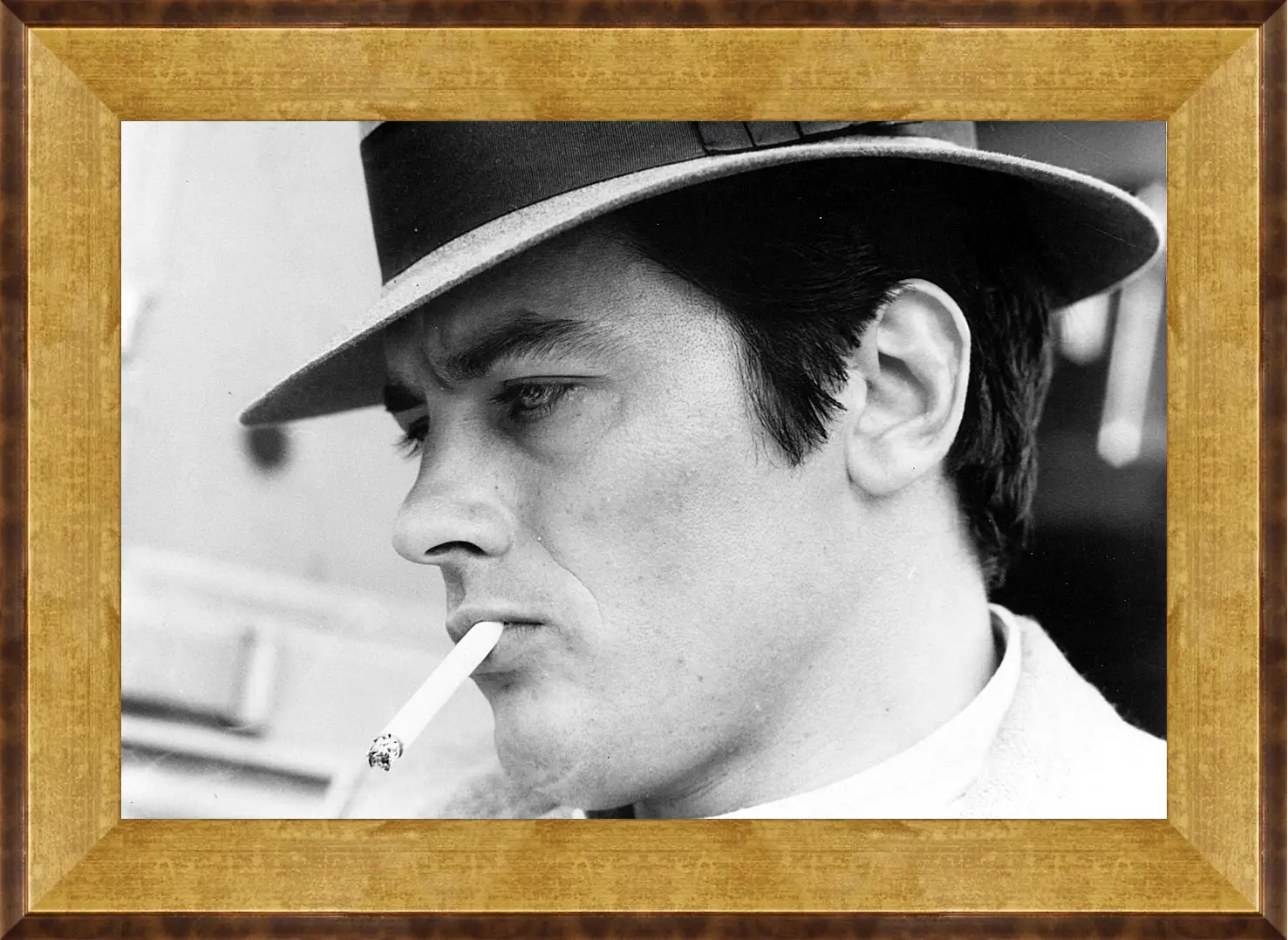 Картина в раме - Ален Делон. Alain Delon