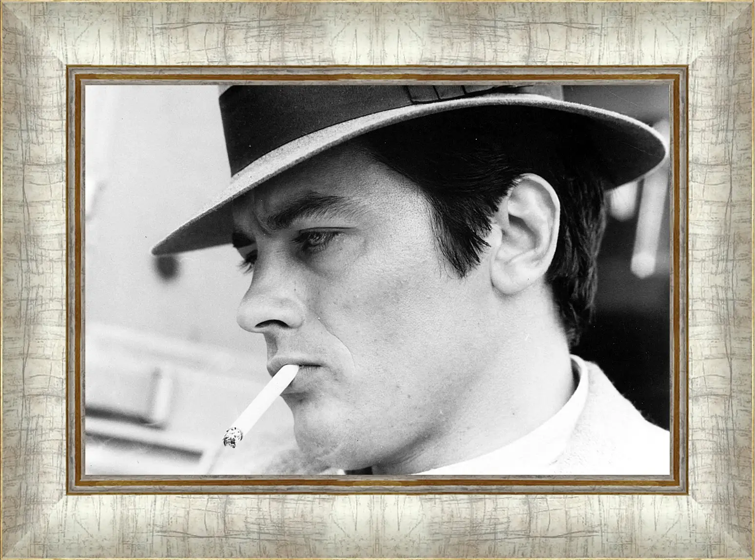 Картина в раме - Ален Делон. Alain Delon