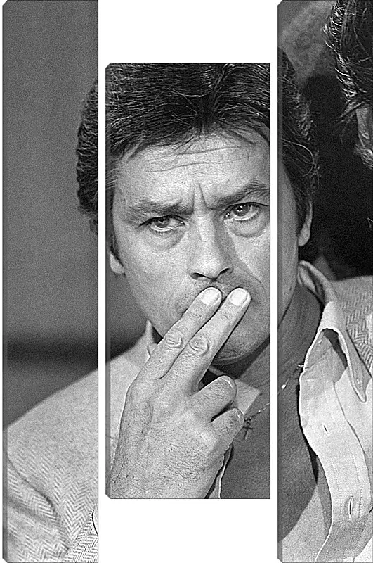 Модульная картина - Ален Делон. Alain Delon