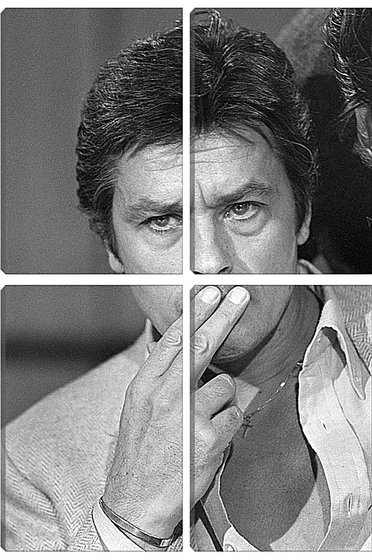 Модульная картина - Ален Делон. Alain Delon