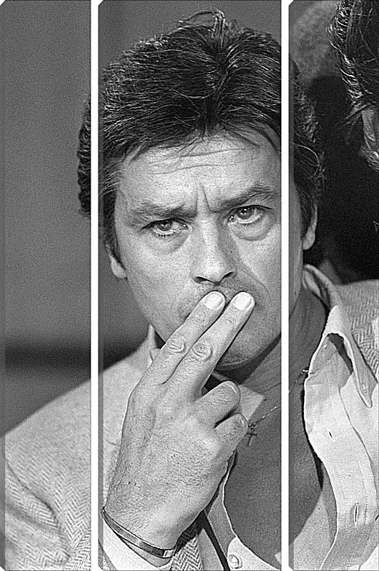 Модульная картина - Ален Делон. Alain Delon